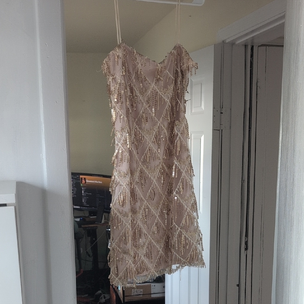 Elegant Gold Fringe Dress